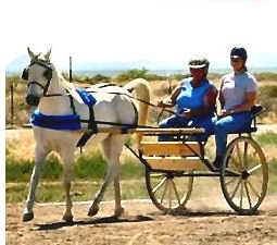 Jeannie Cart Wheels